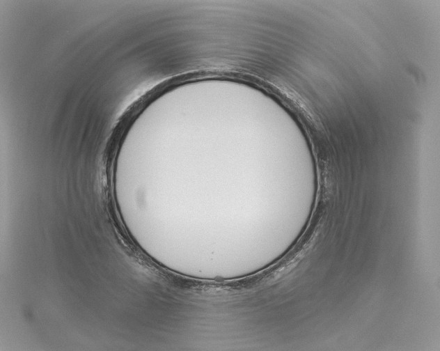 X0000114491070200911161208