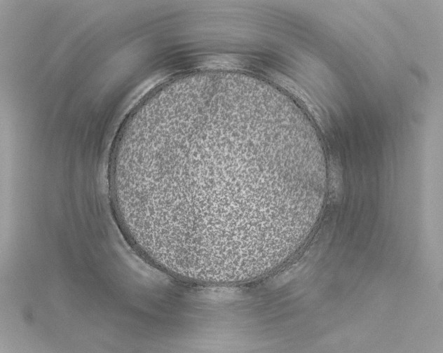 X0000114491090200911161207