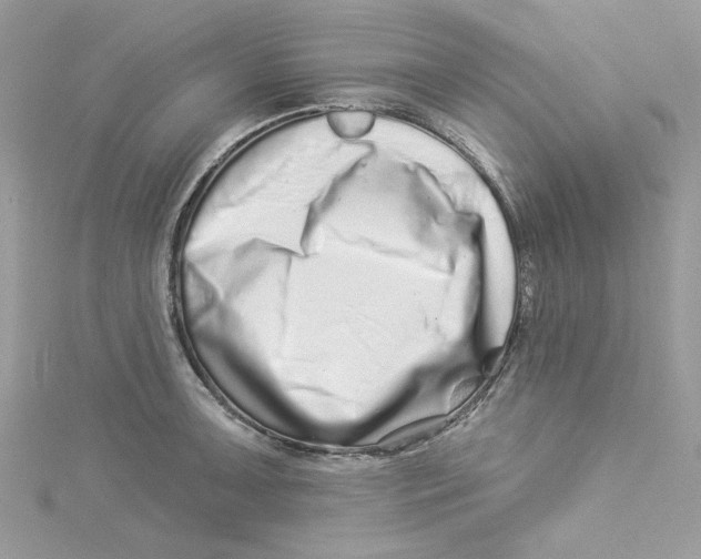 X0000114491091200911161207