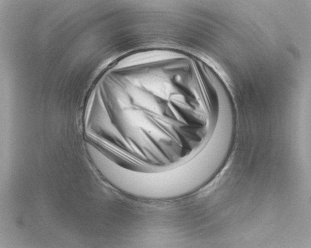 X0000114491097200911161207