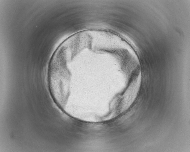 X0000114491103200911161207