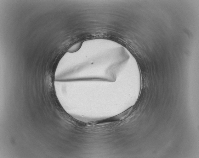 X0000114491106200911161206