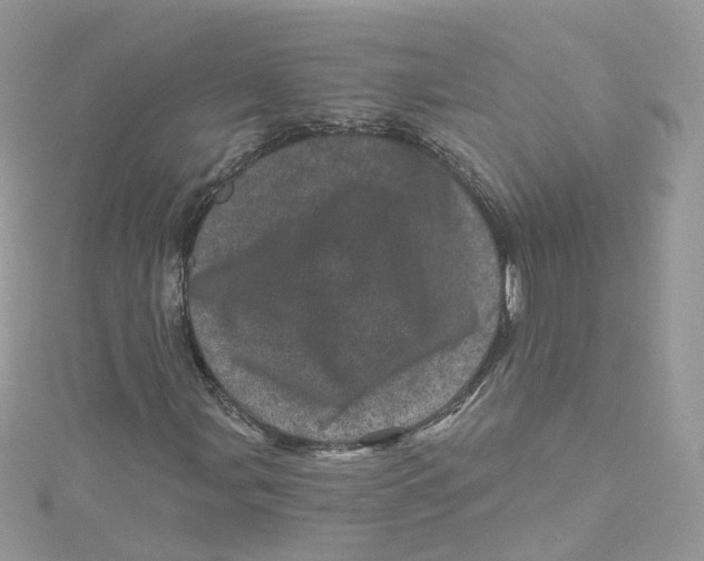 X0000114491107200911161206