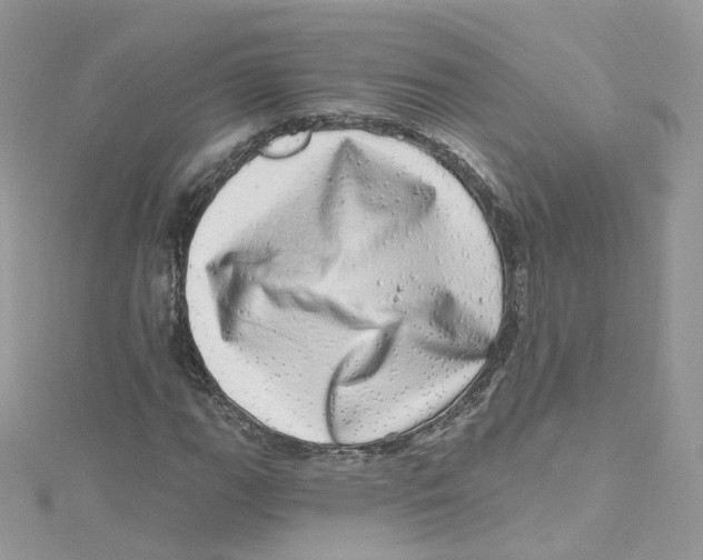 X0000114491111200911161206