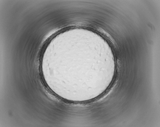 X0000114491114200911161206