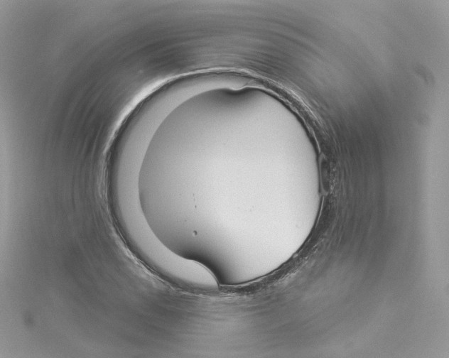 X0000114491118200911161206