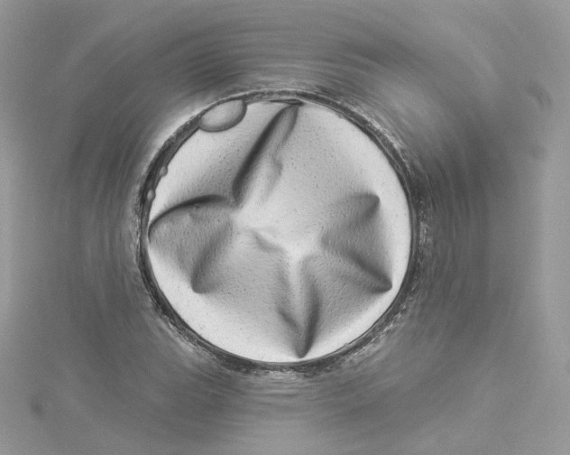 X0000114491119200911161206