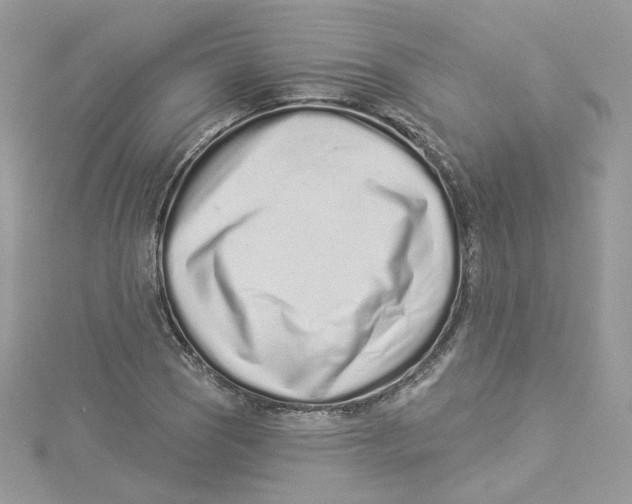 X0000114491121200911161207