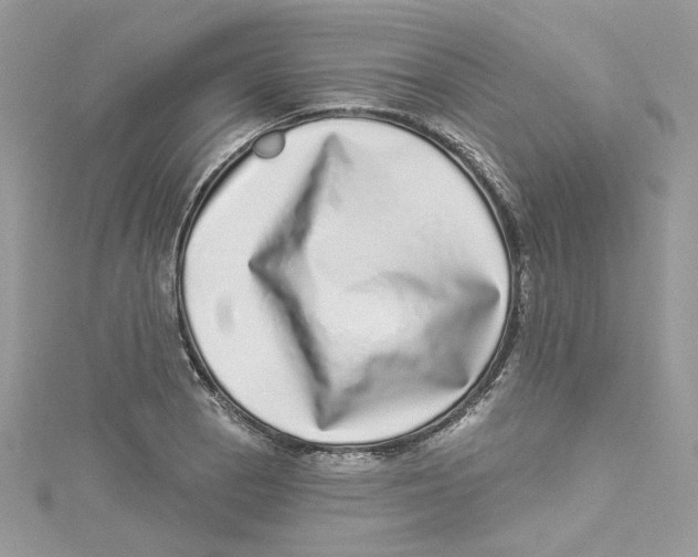 X0000114491129200911161207