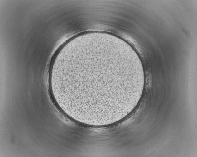 X0000114491130200911161207