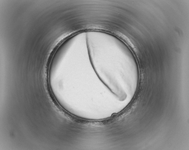 X0000114491133200911161207