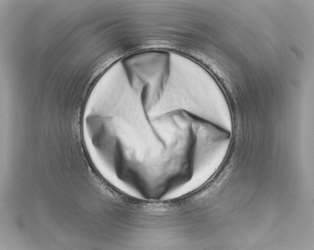 X0000114491137200911161207