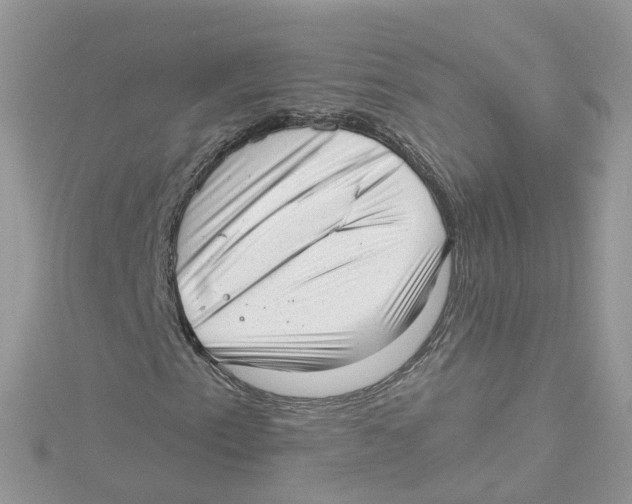 X0000114491153200911161206