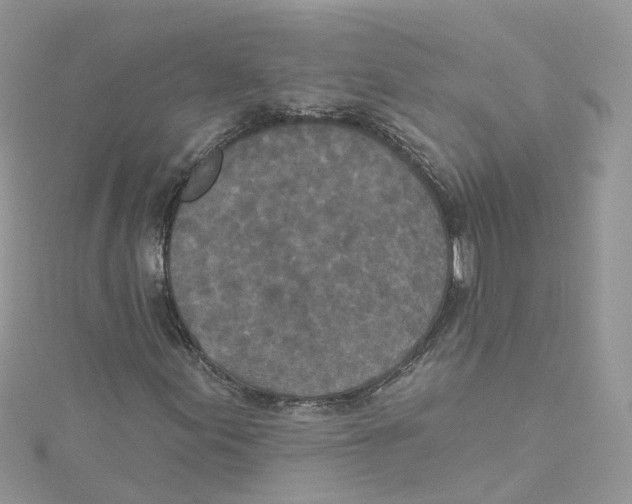 X0000114491155200911161206