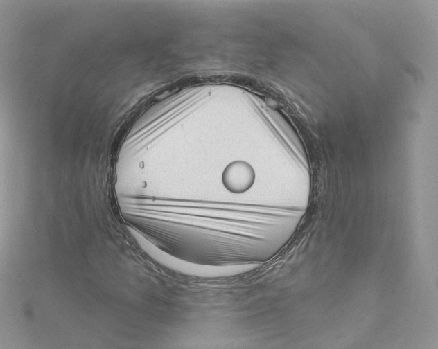 X0000114491157200911161206