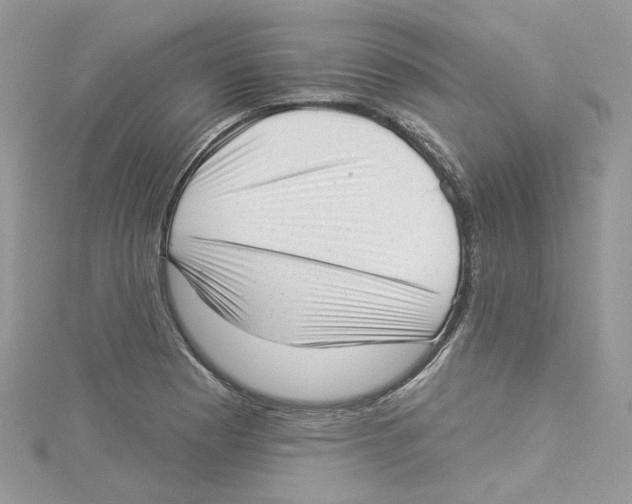 X0000114491177200911161206