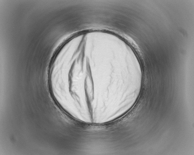 X0000114491183200911161206