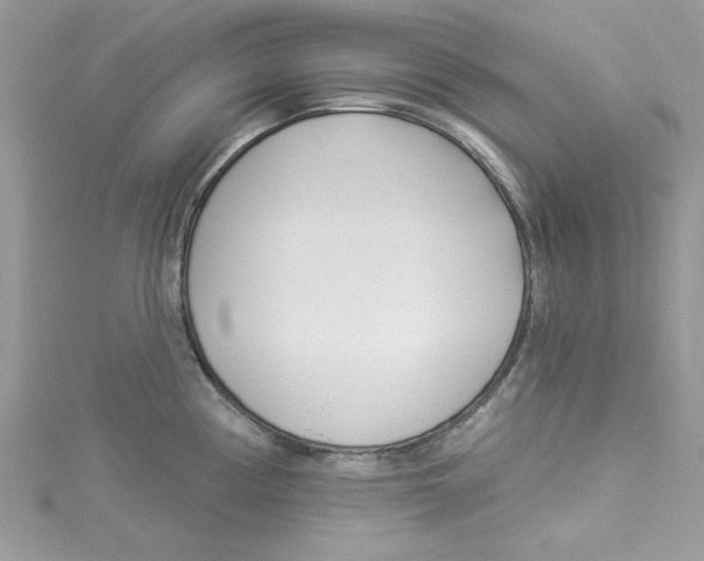 X0000114491194200911161206