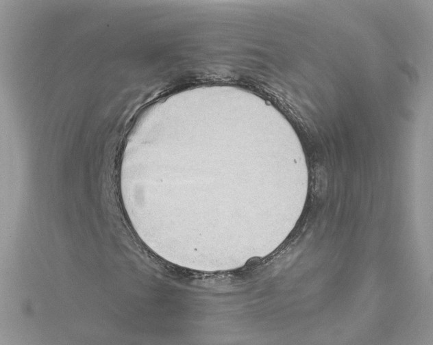 X0000114491201200911161205