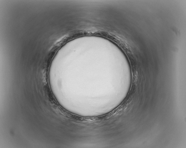 X0000114491205200911161205