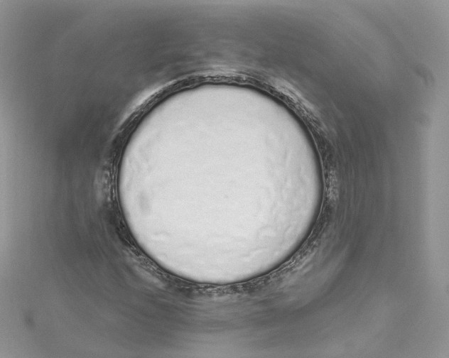X0000114491208200911161205