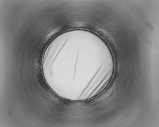 X0000114491210200911161205