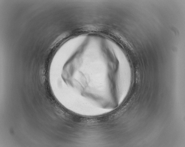 X0000114491213200911161205