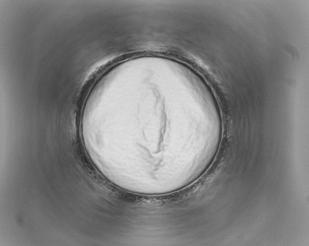 X0000114491214200911161205