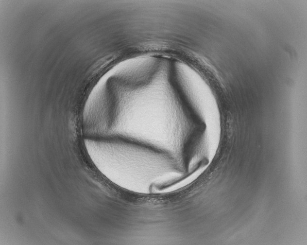 X0000114491217200911161205