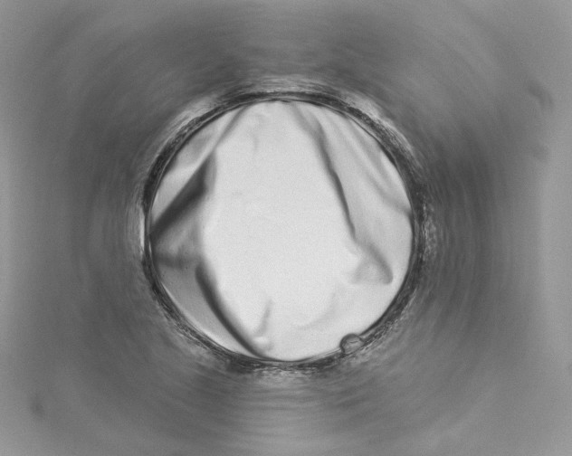 X0000114491221200911161205