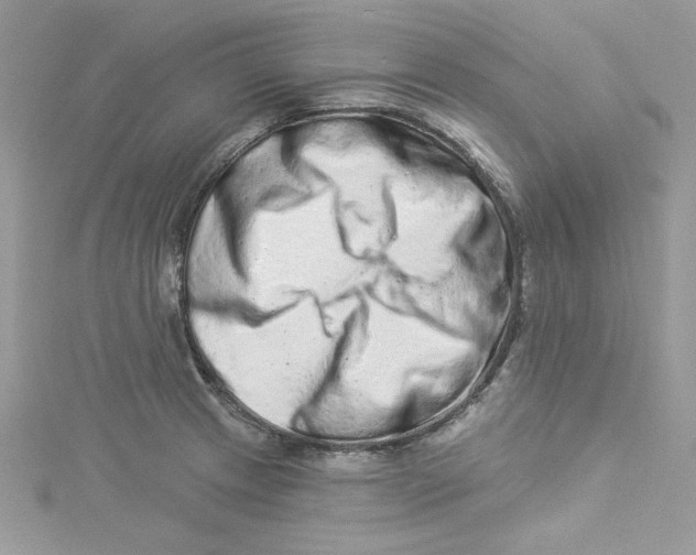 X0000114491233200911161205