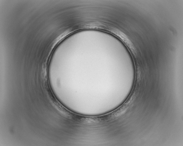 X0000114491234200911161206