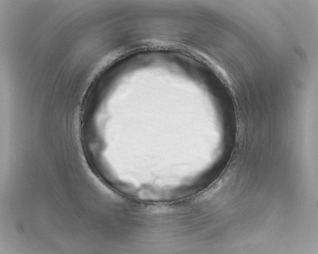 X0000114491239200911161206
