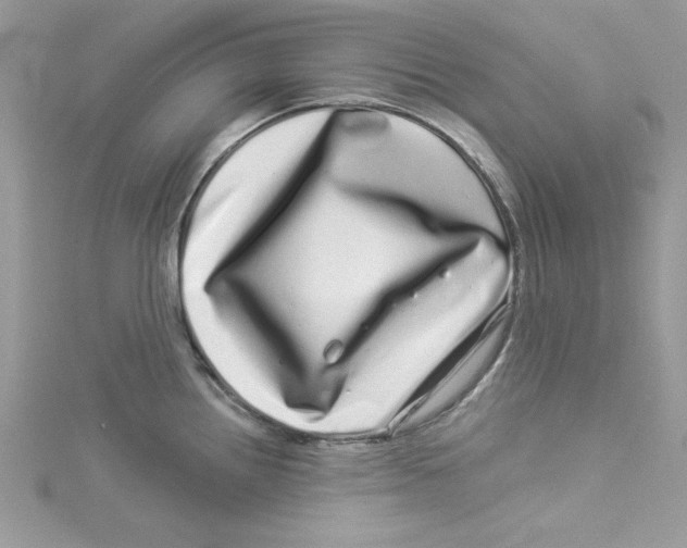 X0000114491242200911161206
