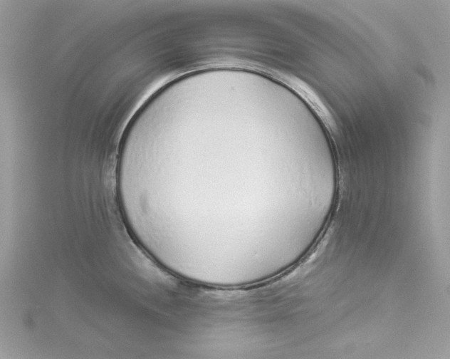 X0000114491244200911161206