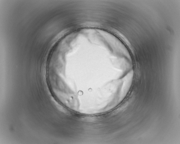 X0000114491245200911161206