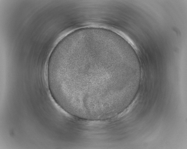 X0000114491247200911161206