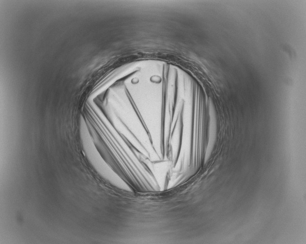 X0000114491253200911161205