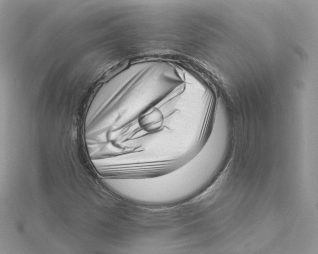 X0000114491257200911161205