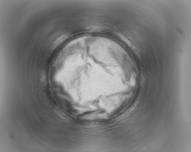 X0000114491259200911161205