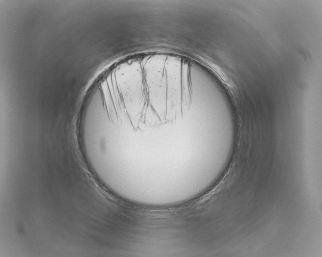 X0000114491264200911161205