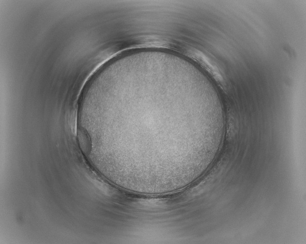 X0000114491276200911161205