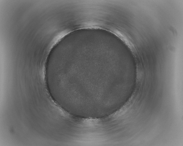 X0000114491277200911161205