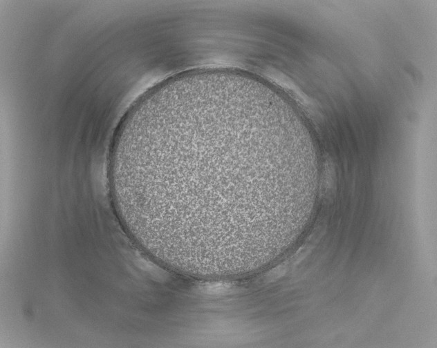 X0000114491278200911161205