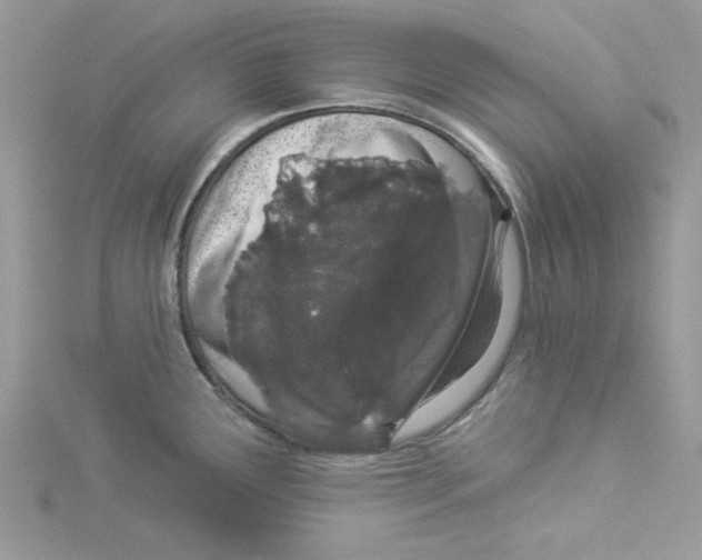 X0000114491291200911161204