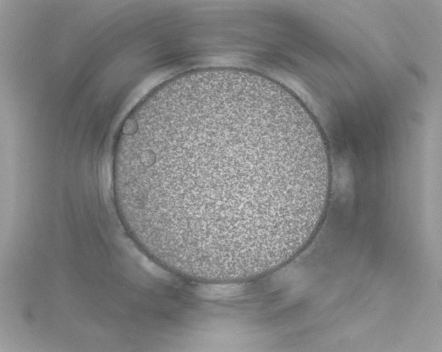 X0000114491294200911161204