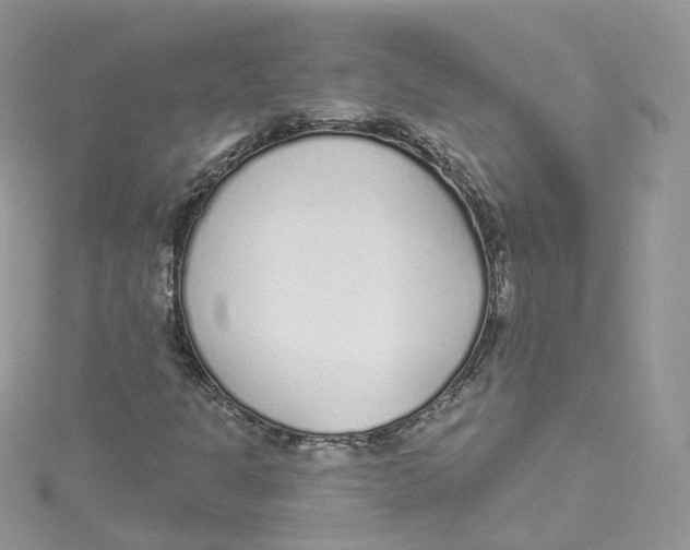 X0000114491301200911161204