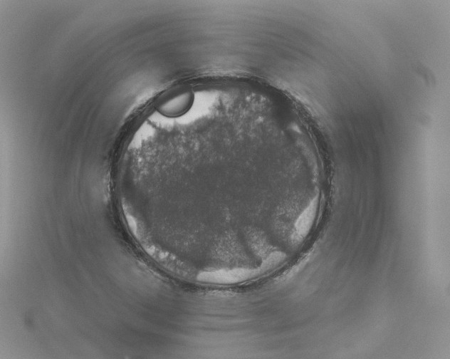 X0000114491306200911161204