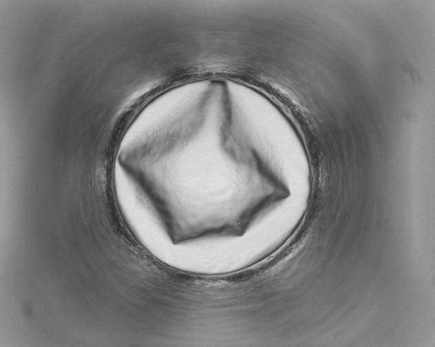 X0000114491309200911161204