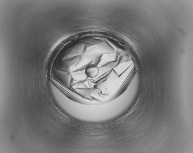 X0000114491310200911161204